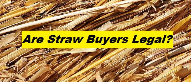 Are Straw Buyers Illegal